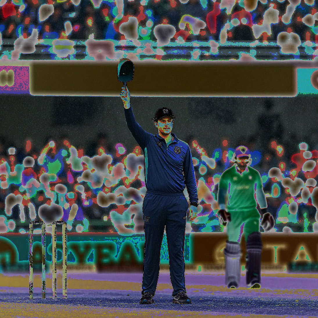 Silence, the Third Umpire and the Shadow of the Stands: Auditing DRS Midway Through the World Cup